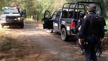 43 Civiles muertos y 3 federales en masacre en Michoacán