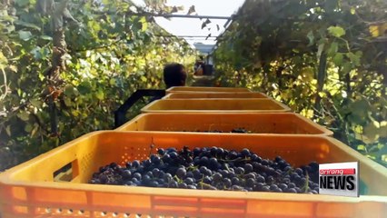 Senary Industry, a New Paradigm in Agriculture