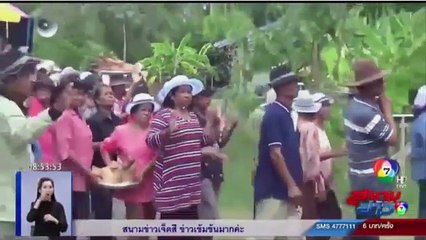 tailandês oferece 100 cabeças de porco em templo para ter sucesso profissional