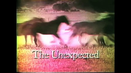 260.The 1 Millionth Ford Mustang Built at the Flat Rock Assembly Rolls Off the Line