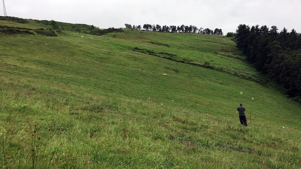 Killiebrae E'Mac, country basque ,