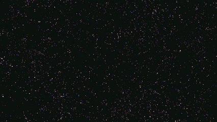 Unknown Creatures caught on Camera