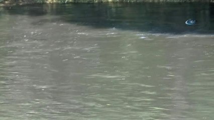 Binlerce Dönüm Arazinin Sulandığı Dere Kirli Akmaya Başladı