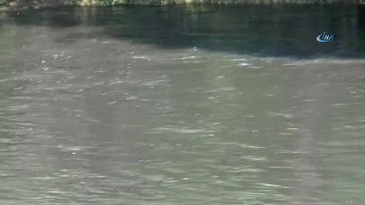 Binlerce Dönüm Arazinin Sulandığı Dere Kirli Akmaya Başladı