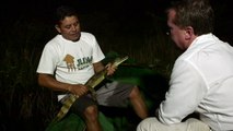 Hunting White Caiman Alligators At Night - RAW FOOTAGE