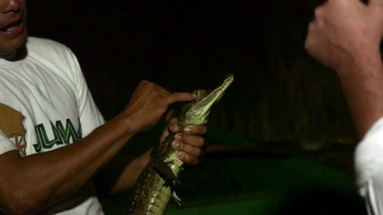 What Does Third Eye Mean