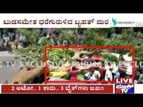 Bangalore: Tree Falls Near PES College; 2 Autos, 2 Cars & 3 Bikes Harmed