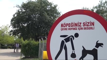 Bursa Bu Villalar Kedilere Özel