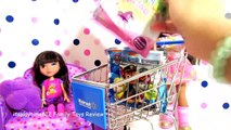 SURPRISE TOYS IN WALMART SHOPPING CART withdfgr AG Doll Ashly