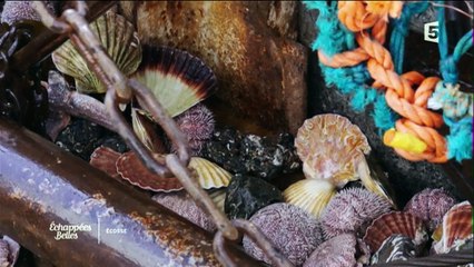 Écosse, intense et mystérieuse - Échappées belles