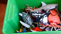 Shark Toys Kids Toy Box Sea Animals Toy asdWhales sea turtles caretta caretta turtles