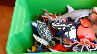 Shark Toys Kids Toy Box Sea Animals Toy dsaWhales sea turtles caretta ca