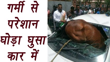 Horse breaks into car's windshield in Jaipur, Watch video| वनइंडिया हिंदी