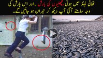 Fish Rain in Thailand | Unbelievable Fish rain in Thailand