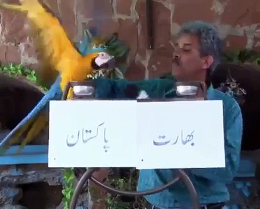 Ameen Hafeez Ke Sath Reporting Ke Waqt Kia Hogaya...