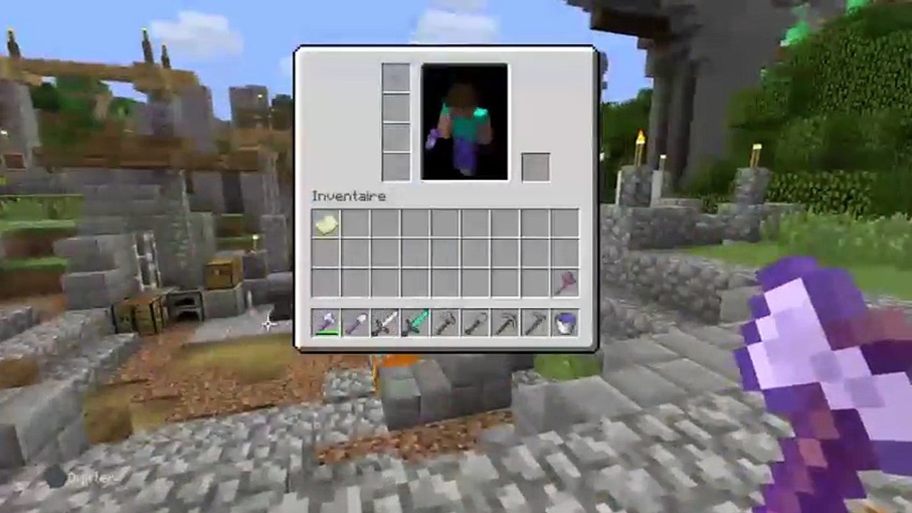 Live sur mincraft 2 (20)