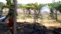 Incendio in una campagna andriese