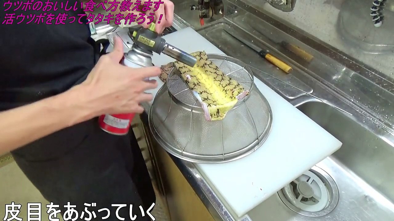 【悲報】いきてるウツボ捌いたら排水溝ぶっ飛ばされました。