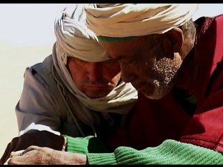 HD عالم الحشرات