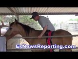 Elie Seckbach Falls Off A Horse - ESNEWS Boxing