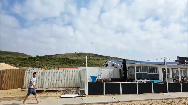 Y'a comme un bug dans la matrice... Oiseau bizarre