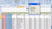 MS Excel 2007 Tutorial in Hime Tab Cells Block Insert,Delete,Format & Editing Block etc