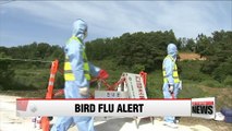 Bird flu cases reported at over a dozen farms; poultry culled as precaution
