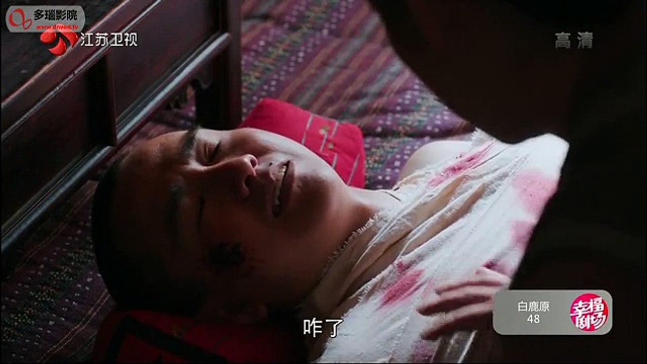 48 白鹿原 第48集
