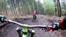 Bear on the Bikepark  SLOW MOTION   Malino Brdo SLOVAKIA
