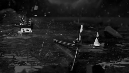 Floraleda Sacchi, Darklight: la nostra intervista