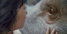 Okja - Video detrás de cámaras - Estreno en Netflix el 28 de junio