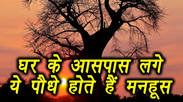 Avoid these plants near house | Vastu Tips | घर के पास ये पौधे होते हैं मनहूस | Boldsky