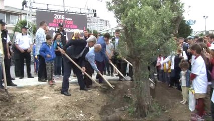 13 Şehit İçin, 13 Çınar