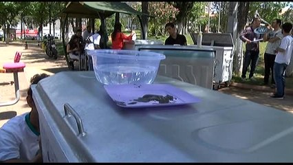 Suriyeli Mültecilerden Çevre Duyarlılığı