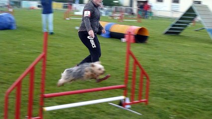 1er degré Jeep Valognes