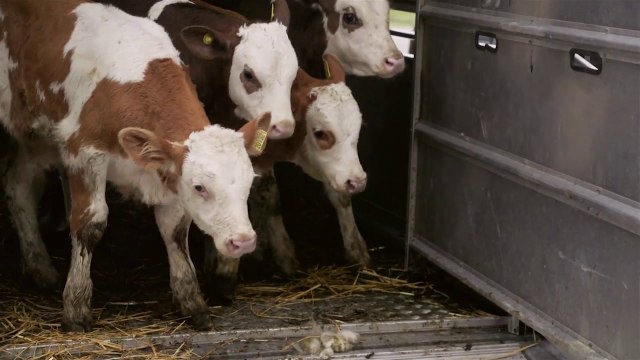 Wales Online_This is how farmers feel about Theresa May, Jeremy Corbyn and the General Election 5Jun17
