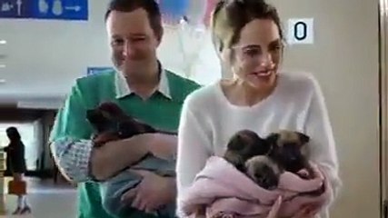 When The Dog should be responsible ! This video made my day ! ❤ Like and Share