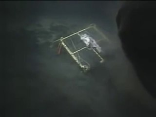 Megalodon sighting caught on Tapeq