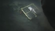 Megalodon sighting caught on Tapeq