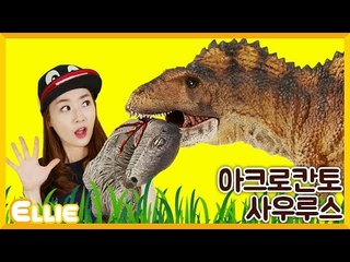 [공룡] 엘리의 '아크로칸토사우루스' 이야기 | 캐리 앤 북스