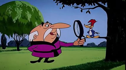 PICA PAU ERA UMA VEZ UM PARQUE