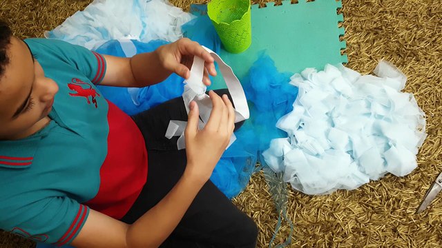 Sibling Rivalry; Homeschool Project; Tutu Skirt: If Girls Can, Boys Can do it Too