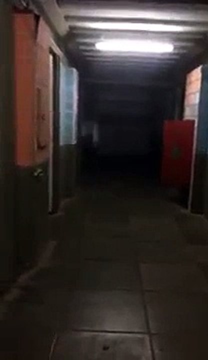 Il se passe des choses très étranges dans cette morgue
