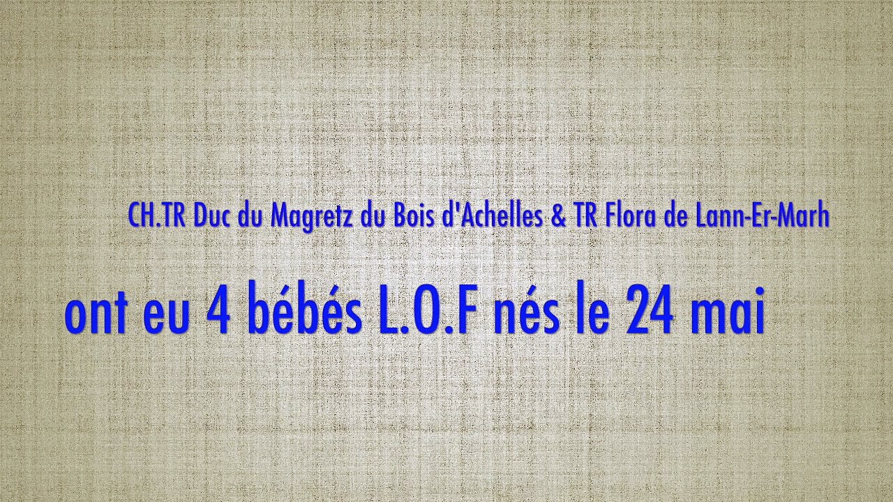 Portée 2017 - Elevage des ETANGS DE CÉLAC