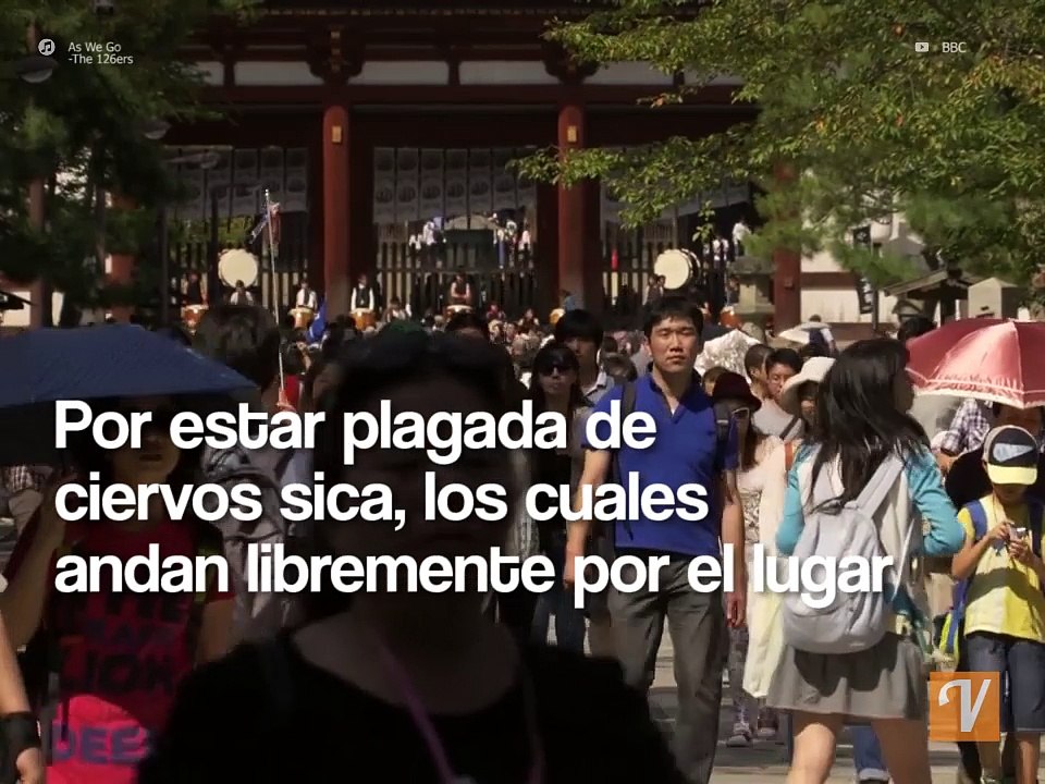 La mágica ciudad de los ciervos