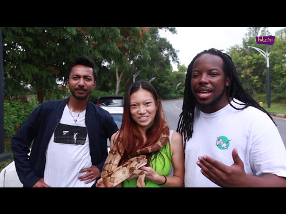 Arnold just GOT PRANKED with a snake!