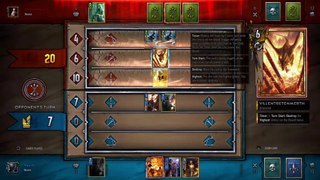 Gwant Witcher Card Game (2)