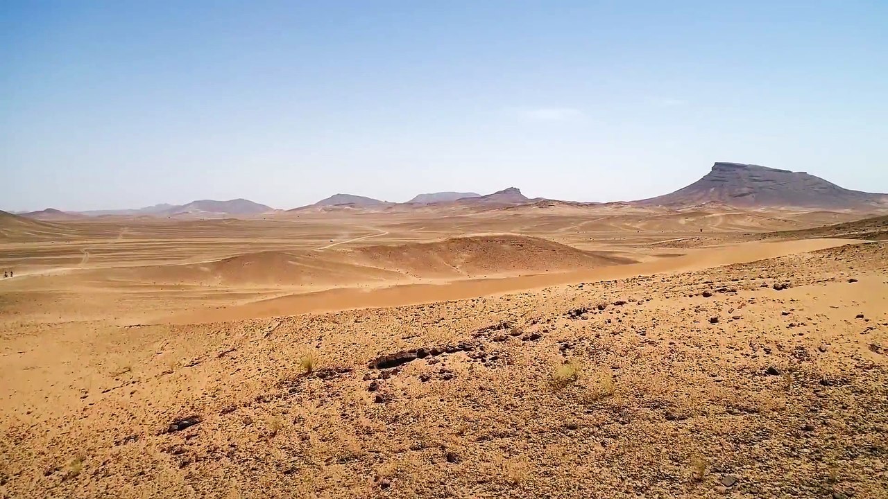 A Seat Leon in the desert