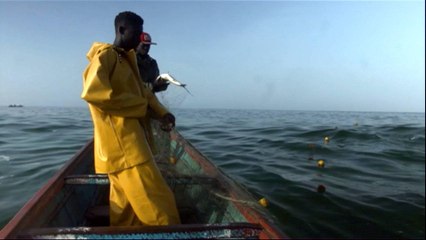 Senegalese scientists monitor climate change impact on the ocean