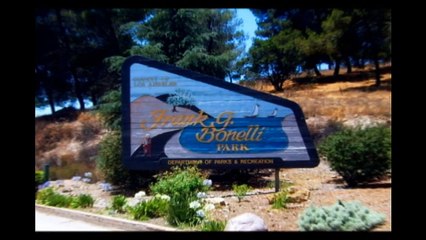 Pug Petite in San Dimas